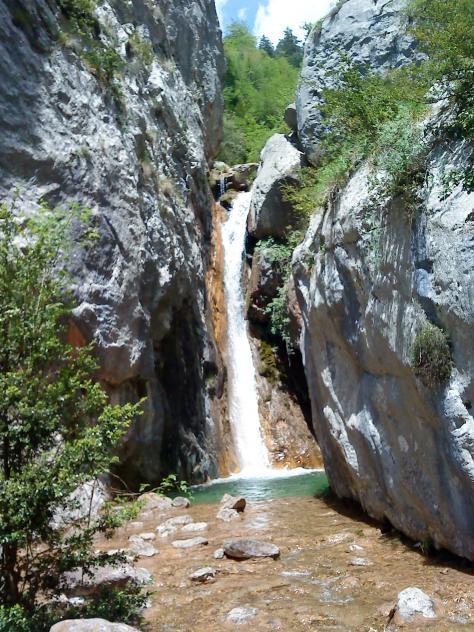 Salto cua de cavall