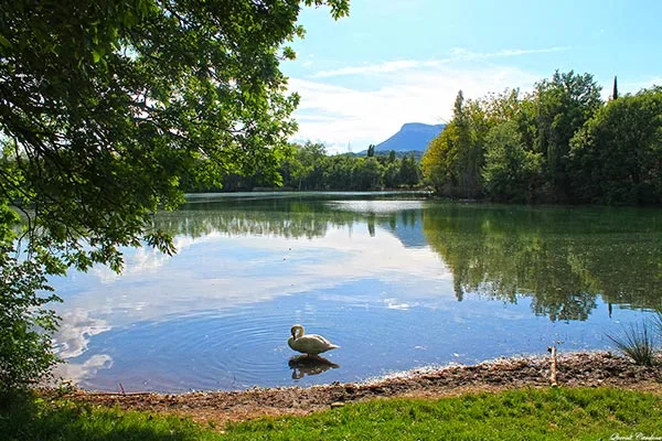 Llac Graugés